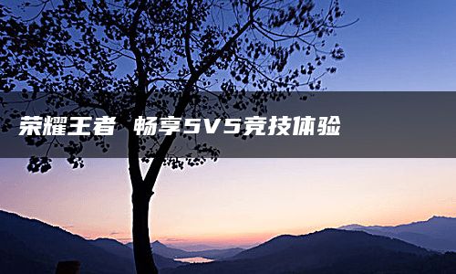 荣耀王者 畅享5V5竞技体验