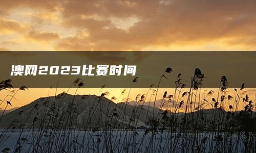 澳网2023比赛时间