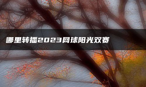 哪里转播2023网球阳光双赛