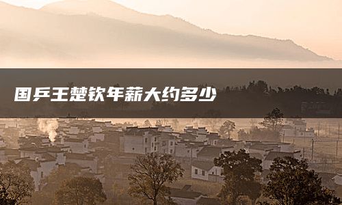 国乒王楚钦年薪大约多少