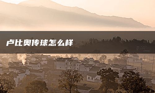 卢比奥传球怎么样