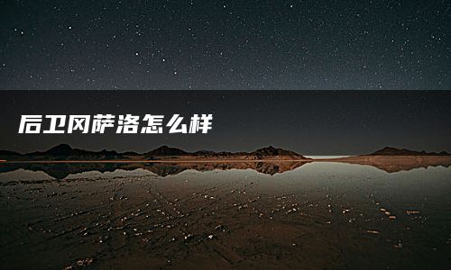 后卫冈萨洛怎么样