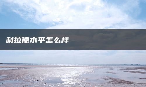 利拉德水平怎么样