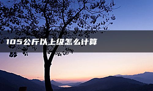 105公斤以上级怎么计算