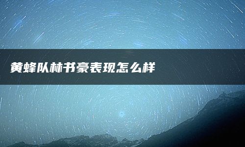 黄蜂队林书豪表现怎么样