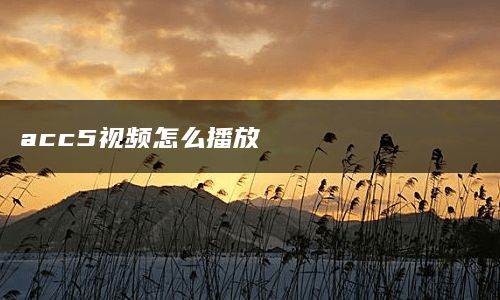 acc5视频怎么播放