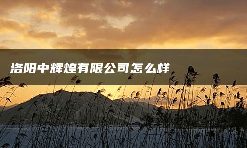 洛阳中辉煌有限公司怎么样