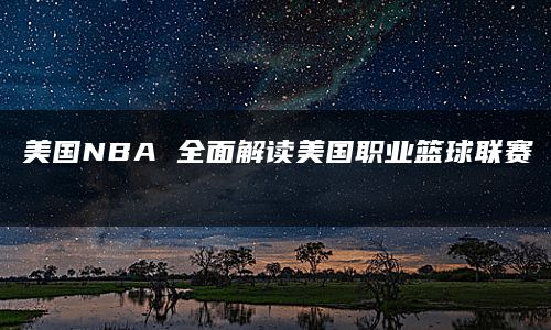 美国NBA 全面解读美国职业篮球联赛