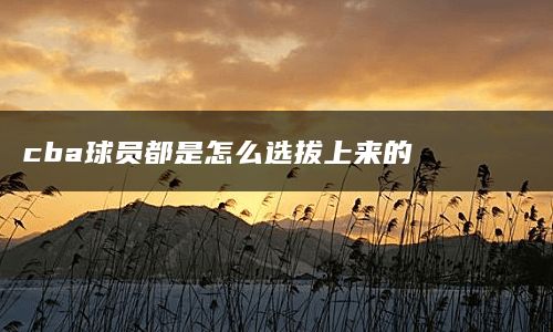 cba球员都是怎么选拔上来的