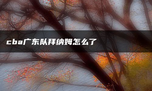 cba广东队拜纳姆怎么了