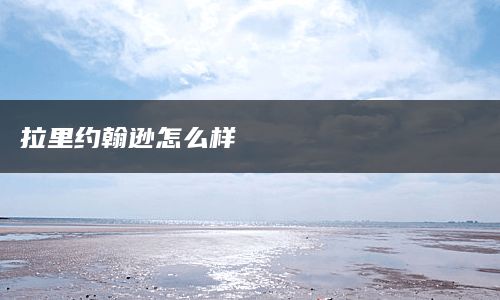 拉里约翰逊怎么样