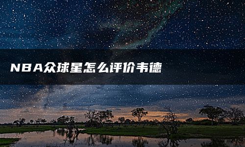 NBA众球星怎么评价韦德