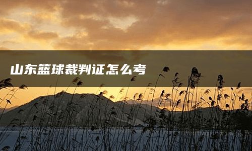 山东篮球裁判证怎么考