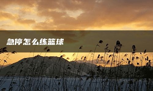 急停怎么练篮球