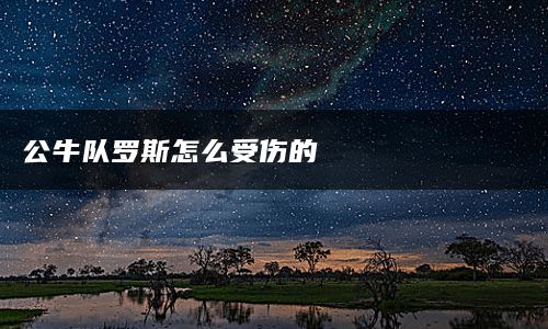 公牛队罗斯怎么受伤的