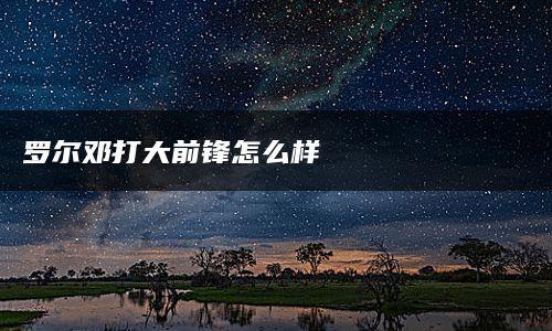 罗尔邓打大前锋怎么样