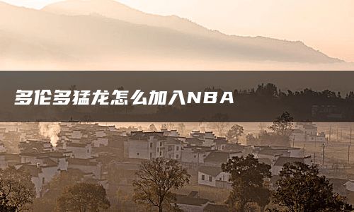 多伦多猛龙怎么加入NBA