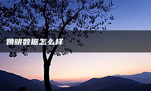 姚明数据怎么样