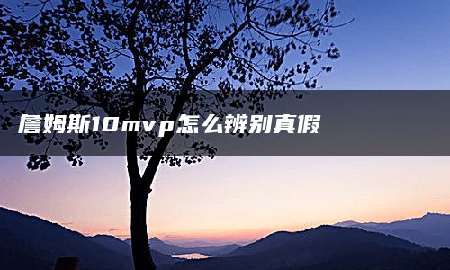 詹姆斯10mvp怎么辨别真假