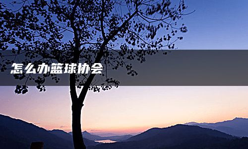 怎么办篮球协会