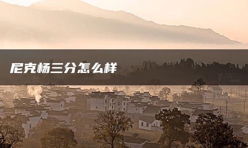 尼克杨三分怎么样