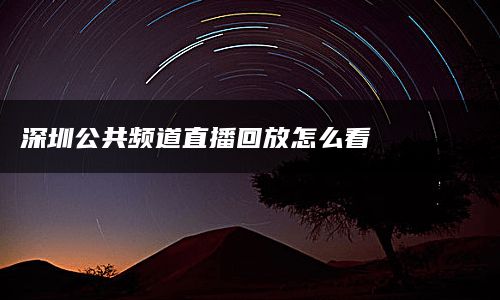 深圳公共频道直播回放怎么看