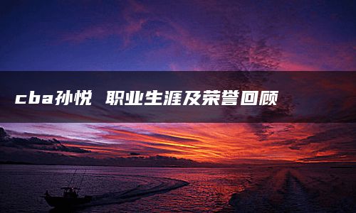 cba孙悦 职业生涯及荣誉回顾