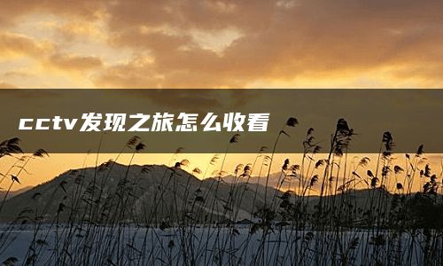 cctv发现之旅怎么收看