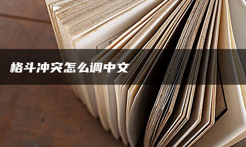 格斗冲突怎么调中文