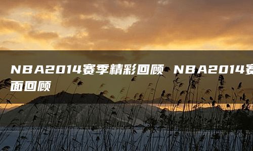 NBA2014赛季精彩回顾 NBA2014赛季全面回顾