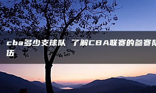 cba多少支球队 了解CBA联赛的参赛队伍