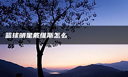 篮球明星戴维斯怎么