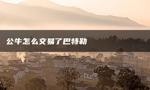 公牛怎么交易了巴特勒