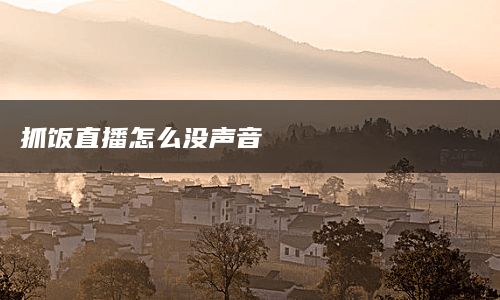 抓饭直播怎么没声音