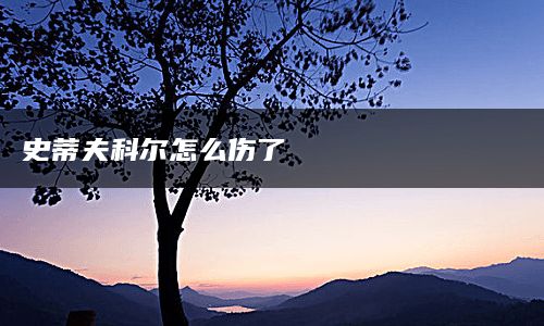 史蒂夫科尔怎么伤了