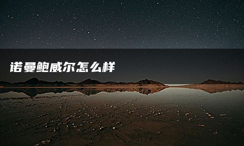 诺曼鲍威尔怎么样