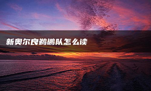 新奥尔良鹈鹕队怎么读