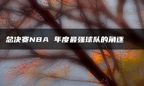 总决赛NBA 年度最强球队的角逐