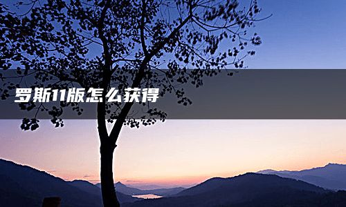 罗斯11版怎么获得