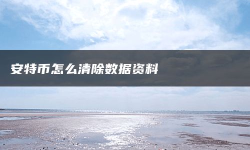 安特币怎么清除数据资料