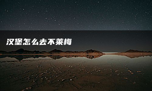 汉堡怎么去不莱梅