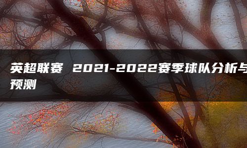 英超联赛 2021-2022赛季球队分析与预测