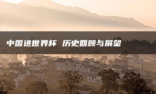 中国进世界杯 历史回顾与展望