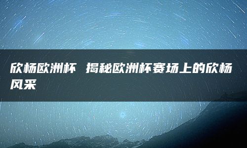 欣杨欧洲杯 揭秘欧洲杯赛场上的欣杨风采