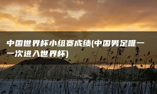 中国世界杯小组赛成绩(中国男足唯一一次进入世界杯)