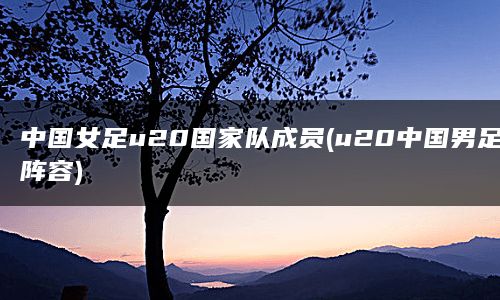 中国女足u20国家队成员(u20中国男足阵容)