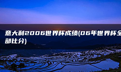 意大利2006世界杯成绩(06年世界杯全部比分)