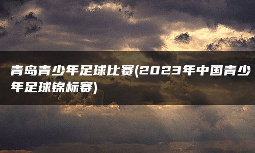 青岛青少年足球比赛(2023年中国青少年足球锦标赛)