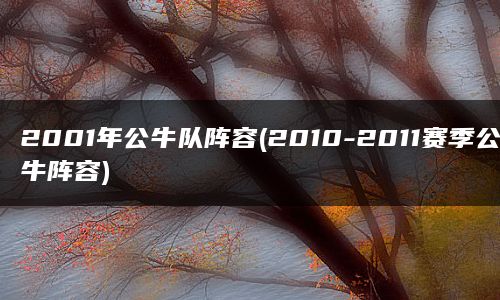 2001年公牛队阵容(2010-2011赛季公牛阵容)