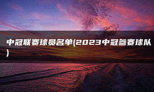 中冠联赛球员名单(2023中冠参赛球队)